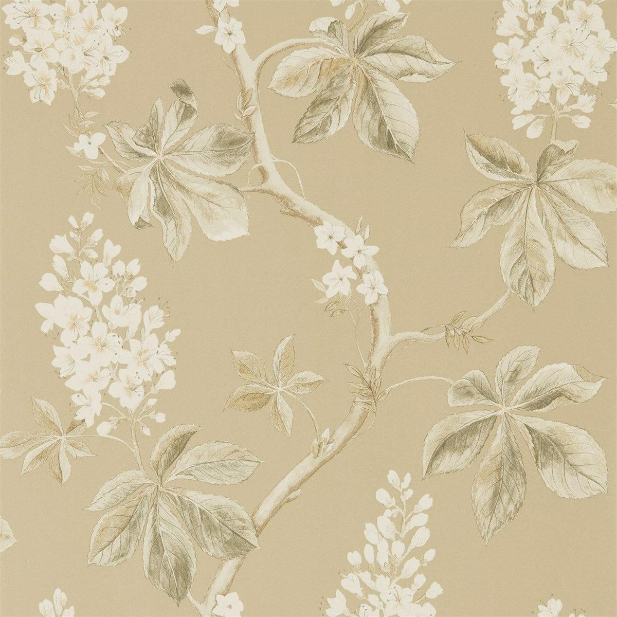 Sanderson - Tapete Chestnut Tree-Tapeten-Sanderson-WHEAT/PEBBLE 215711-215711-Toju Interior