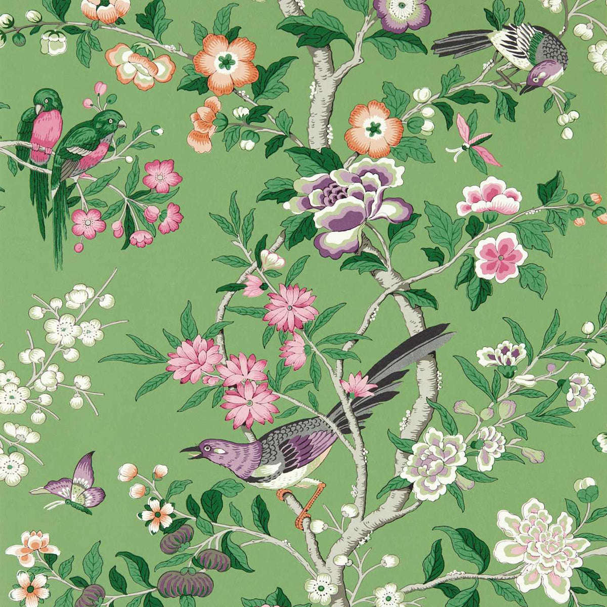 Sanderson - Tapete Chinoiserie Hall-Tapeten-Sanderson-CHINESE GREEN/LOTUS PINK 217110-217110-Toju Interior