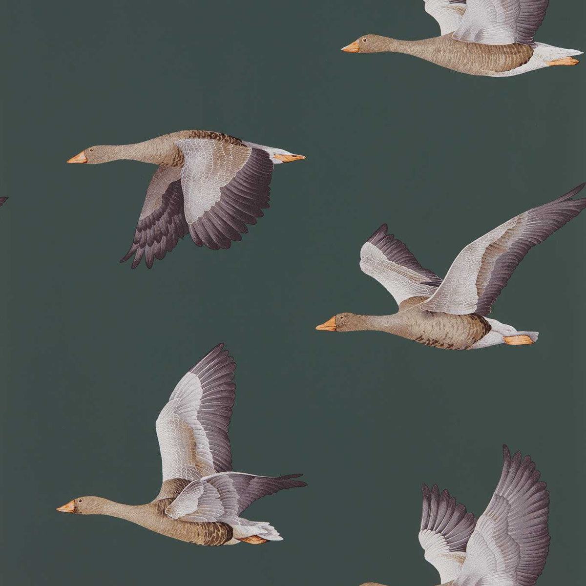 Sanderson - Tapete Ellysian Geese-Tapeten-Sanderson-AMSTERDAM GREEN 216608-216608-Toju Interior