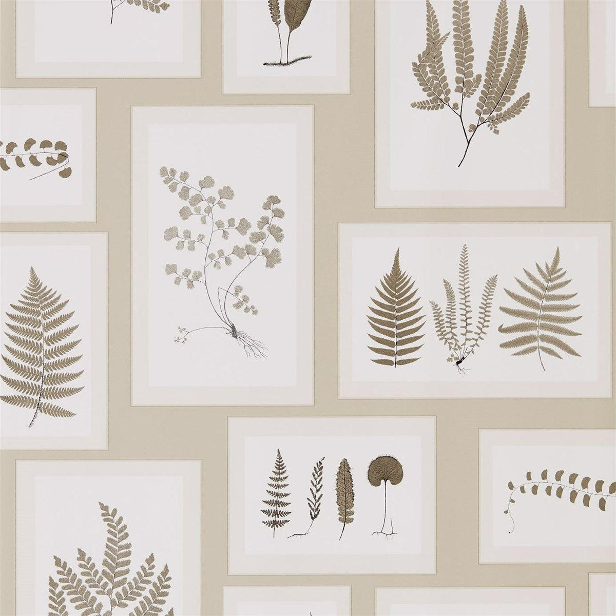 Sanderson - Tapete Fern Gallery-Tapeten-Sanderson-LINEN/SEPIA 215714-215714-Toju Interior
