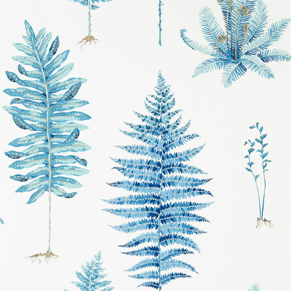 Sanderson - Tapete Fernery-Tapeten-Sanderson-CHINA BLUE 216635-216635-Toju Interior
