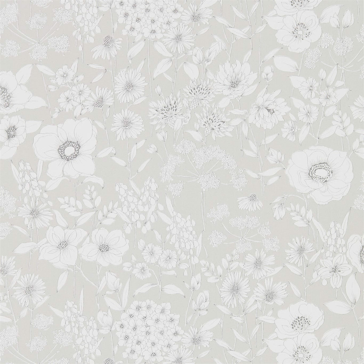 Sanderson - Tapete Maelee-Tapeten-Sanderson-DOVE 216350-216350-Toju Interior