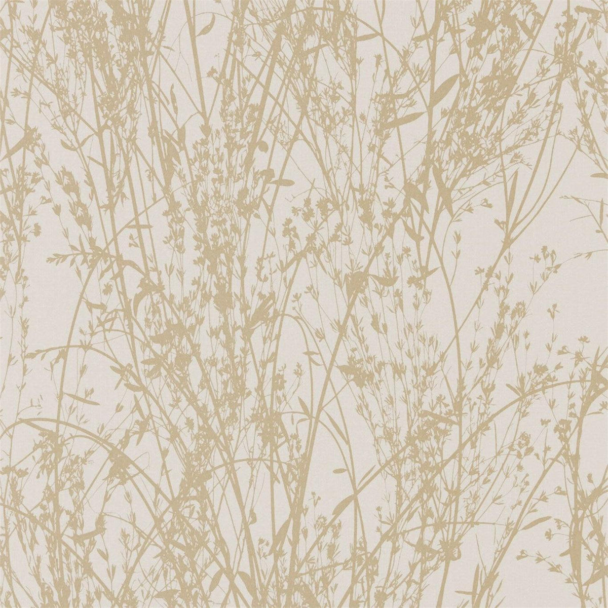 Sanderson - Tapete Meadow Canvas-Tapeten-Sanderson-WHEAT/CREAM 215697-215697-Toju Interior