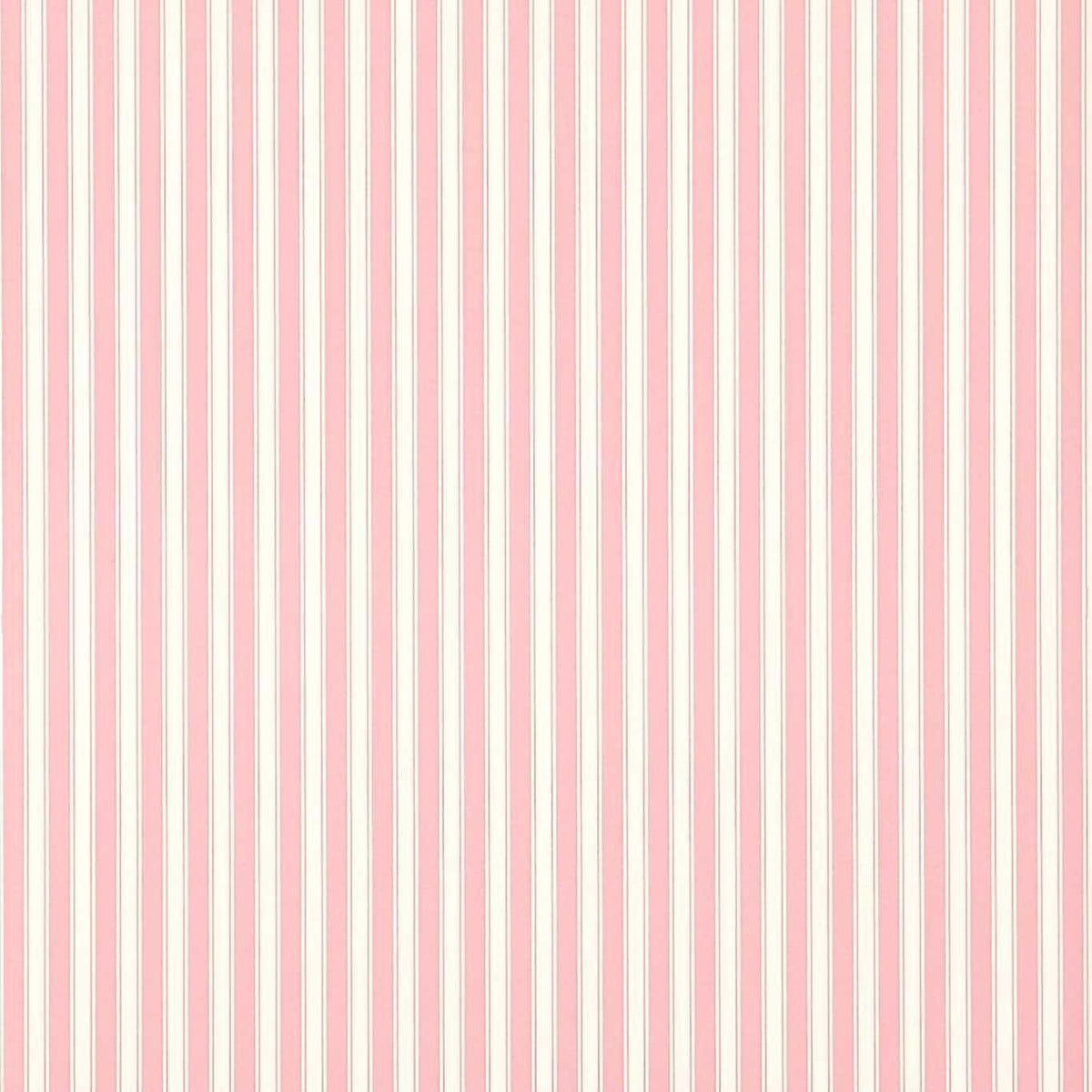 Sanderson - Tapete New Tiger Stripe-Tapeten-Sanderson-ROSE/IVORY DCAVTP101-DCAVTP101-Toju Interior