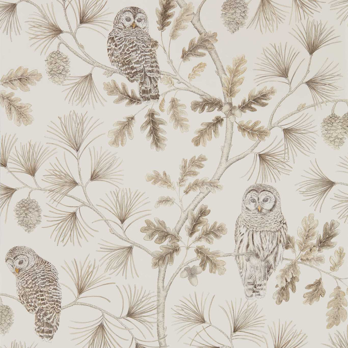 Sanderson - Tapete Owlswick-Tapeten-Sanderson-LINEN 216598-216598-Toju Interior