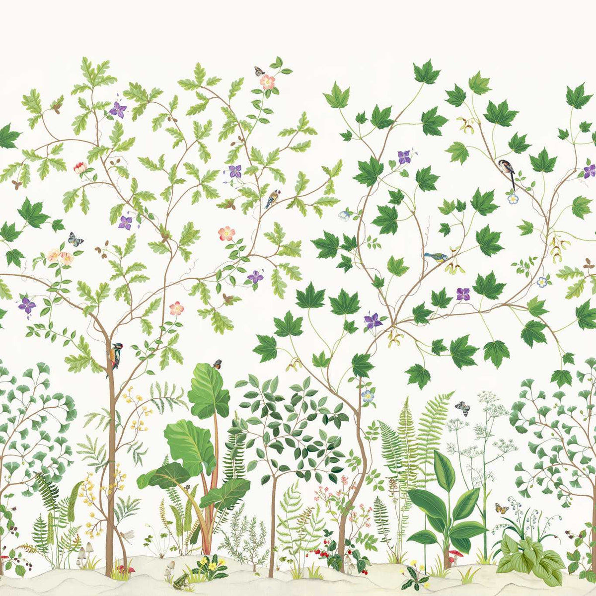 Sanderson - Tapete Sycamore and Oak-Tapeten-Sanderson-BOTANICAL GREEN 217211-217211-Toju Interior