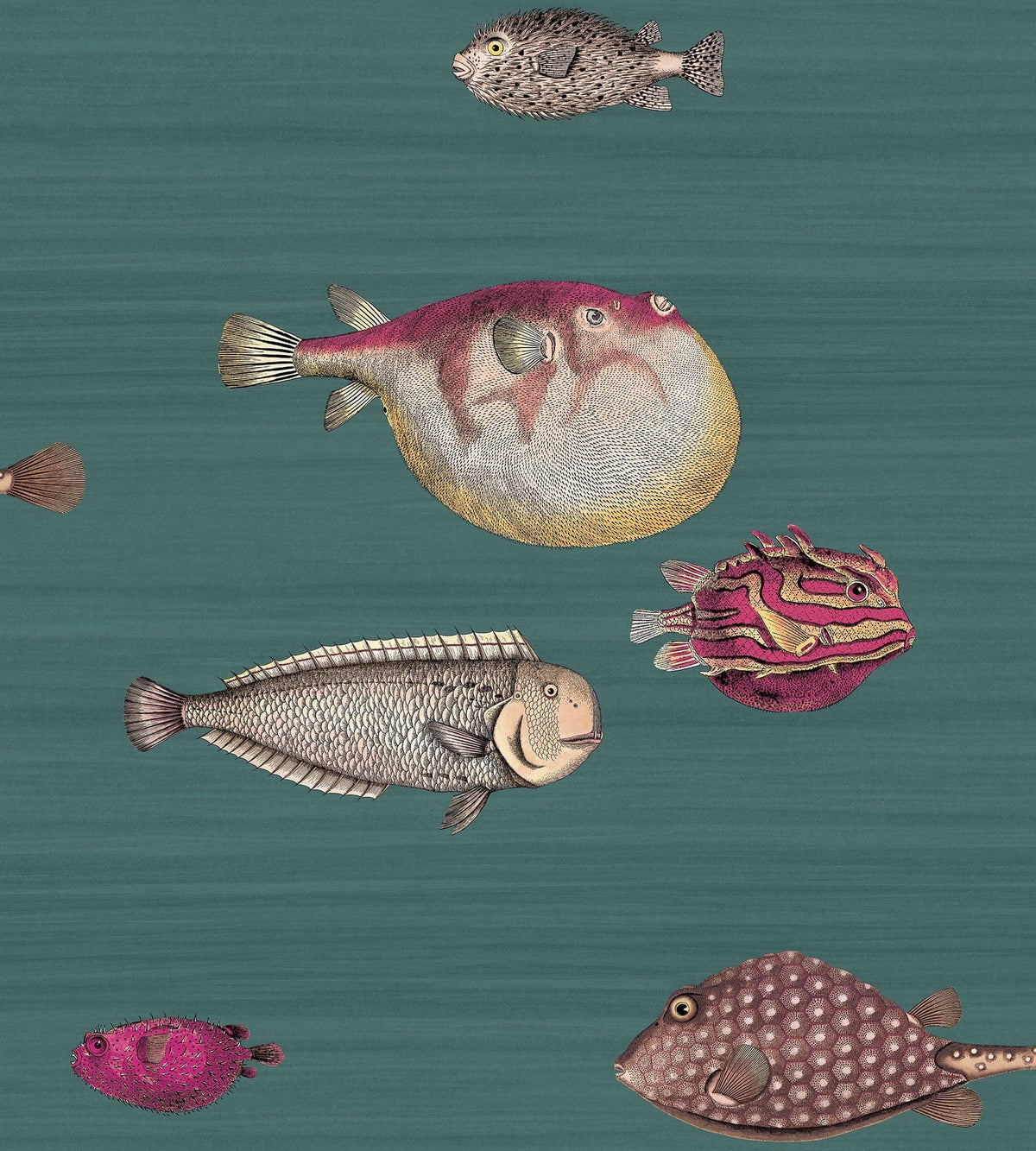 Cole & Son Acquario Tapete in Dark Viridian