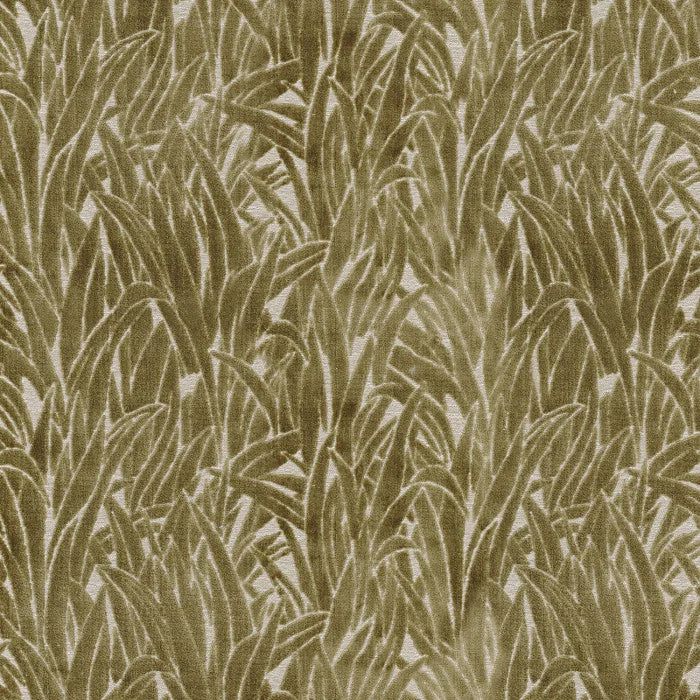 Camengo Kawaga – Lichen – 35550226