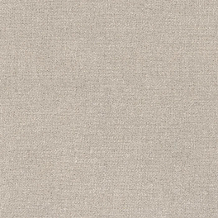 Camengo Kauri – Brouillard – 36180874