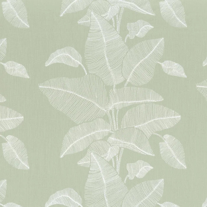 Camengo Botanique – Lichen – 38360229