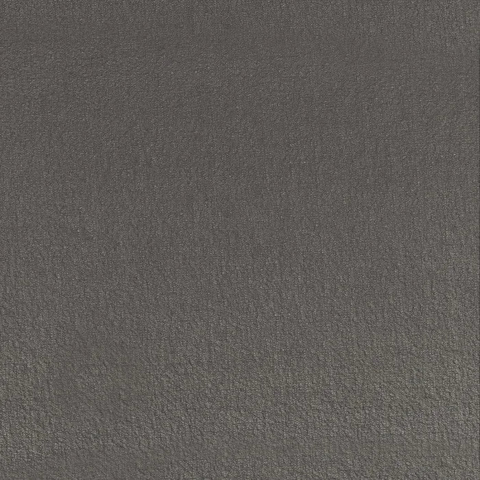 Camengo Zenith – Elephant – 49441237