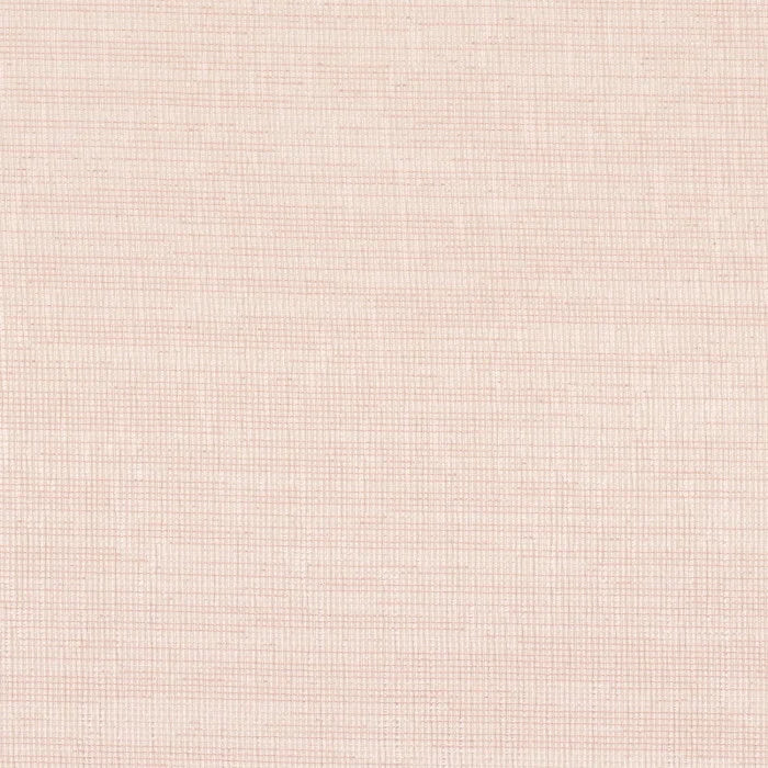 Camengo Clareza – Nude – 49500602