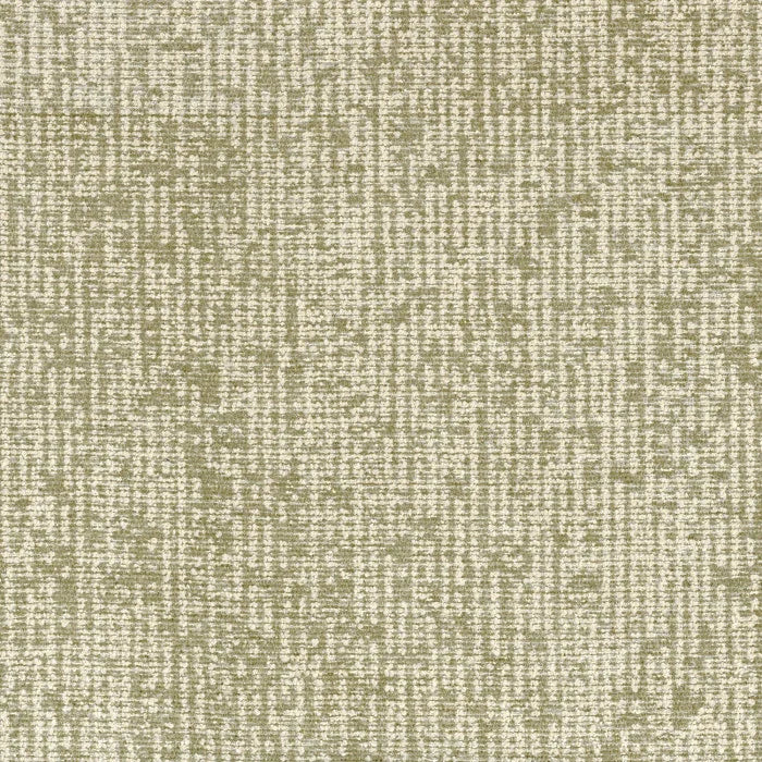 Camengo Caliro Fr – Fougere – 49780372