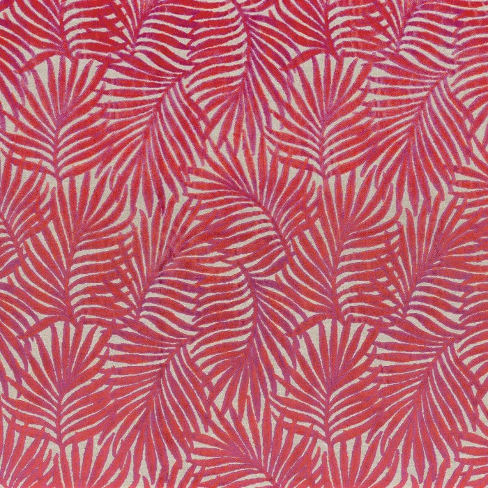 Camengo Cica – Fuschia – A46440523