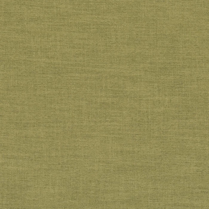 Camengo Biarritz – Wasabi – B41965063