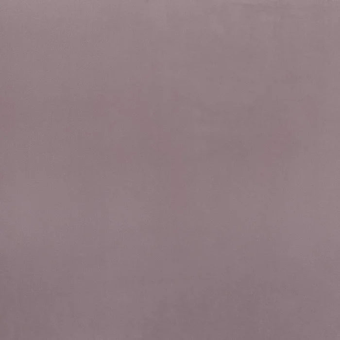 Camengo Coulisse – Vigne – B42794327