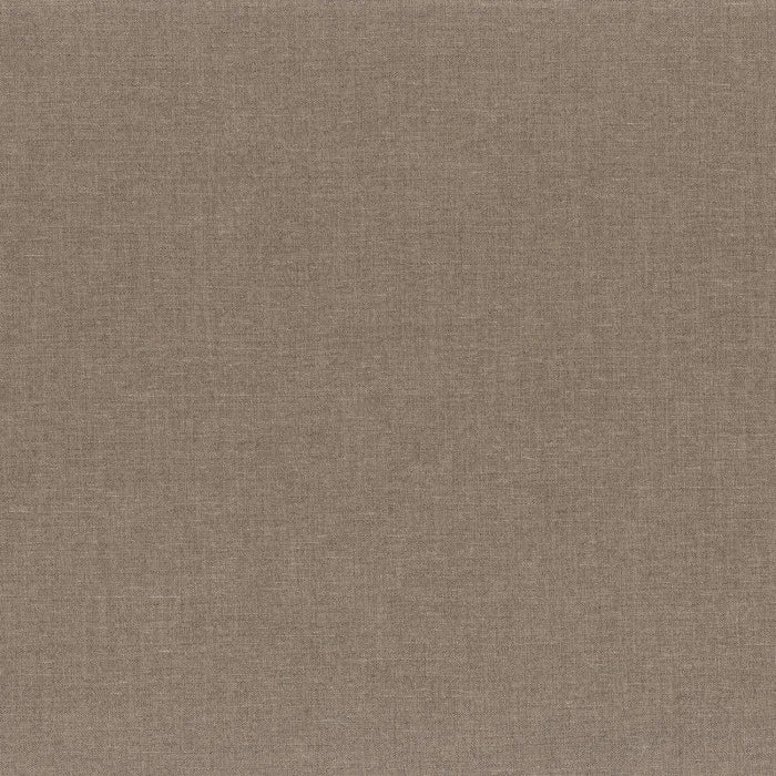 Camengo Bruges – Praline – D40541316