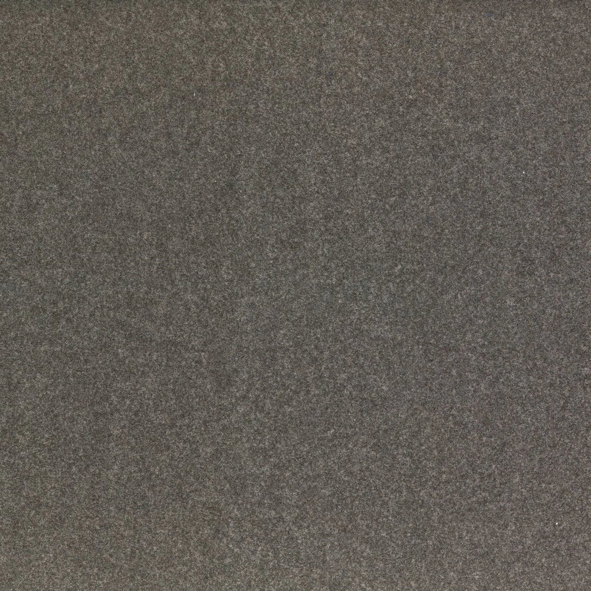 Casamance Anatolie – Taupe – 10930548