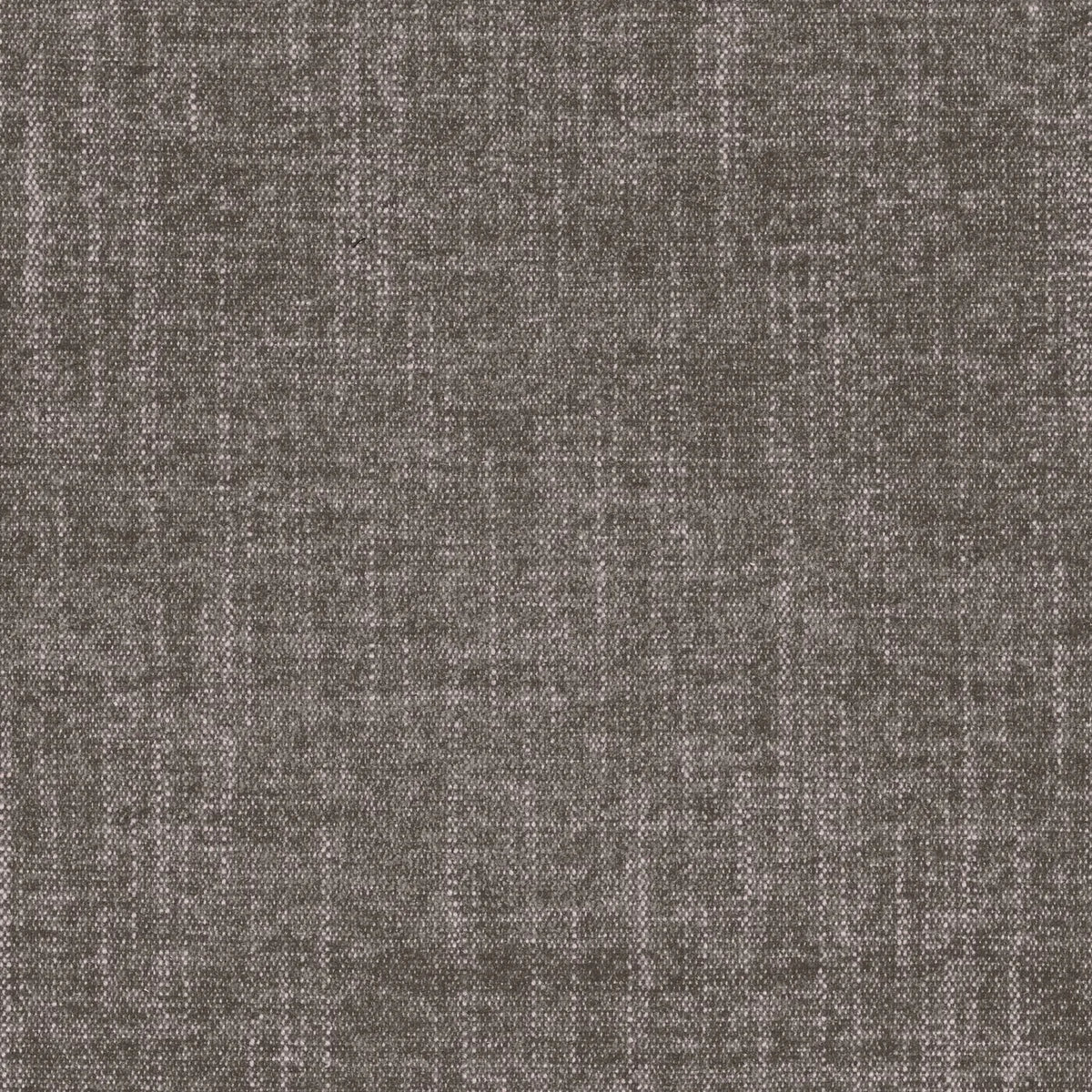 Casamance Exclusive – Tourterelle – 41040110