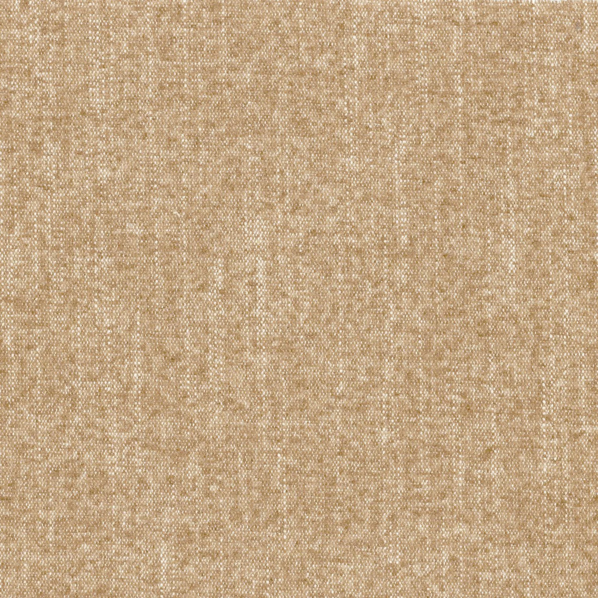 Casamance Exclusive – Champagne – 41041100