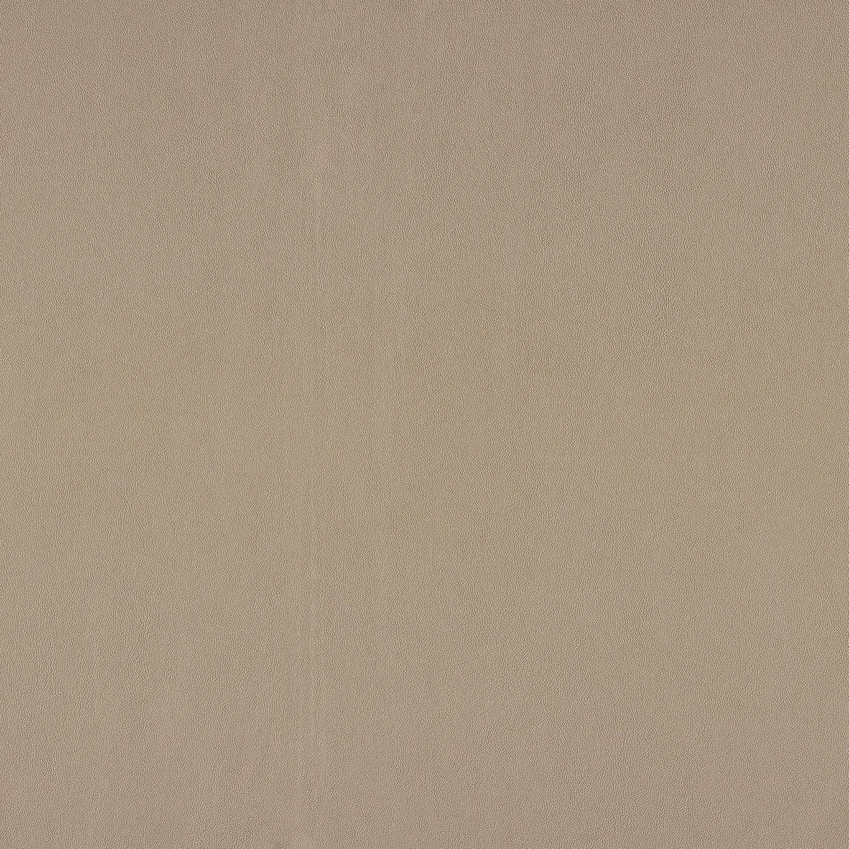 Casamance Naja – Mastic – 43260218