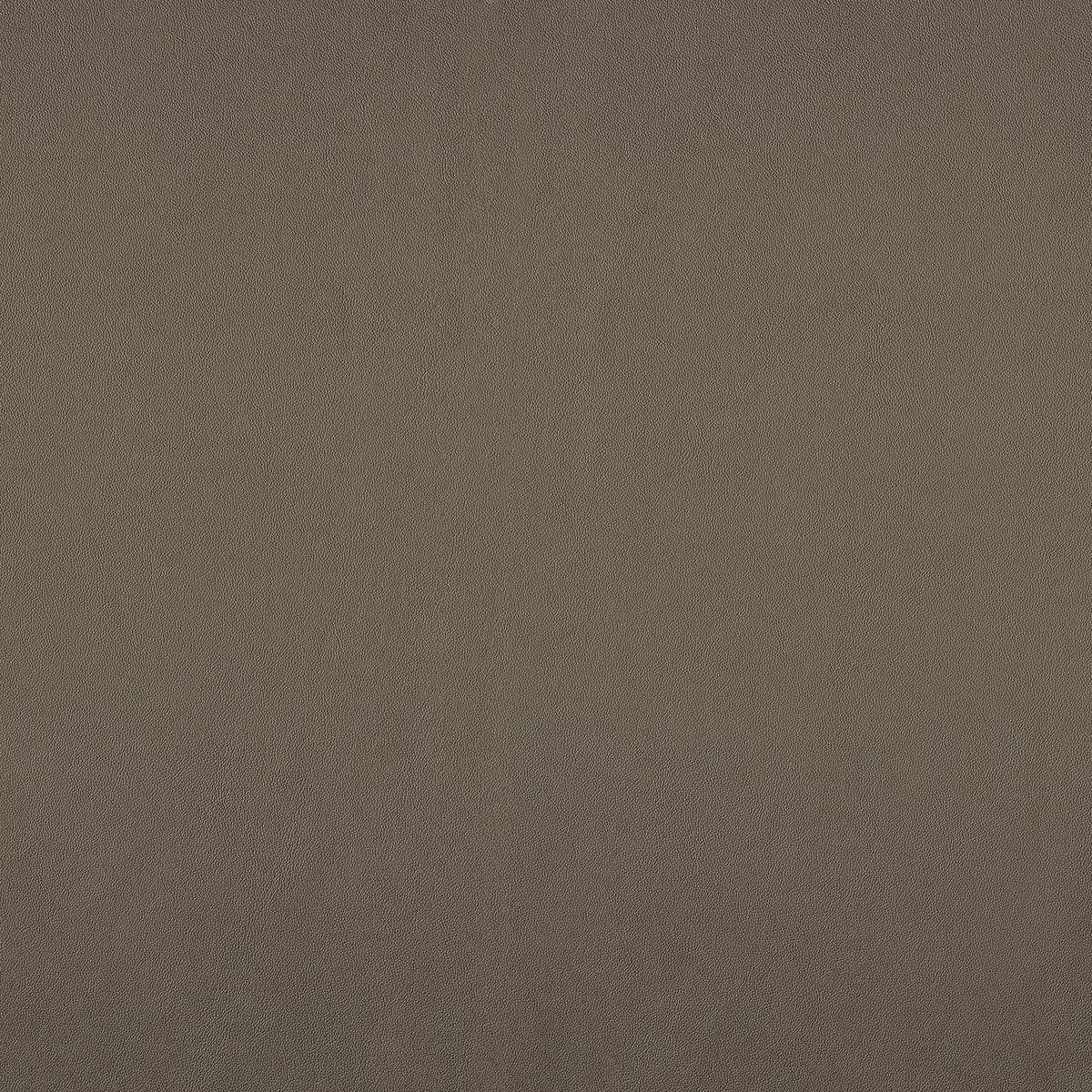 Casamance Naja – Beige Taupe – 43260319