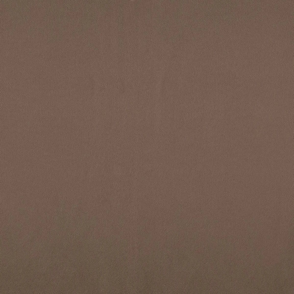 Casamance Naja – Sépia – 43260521