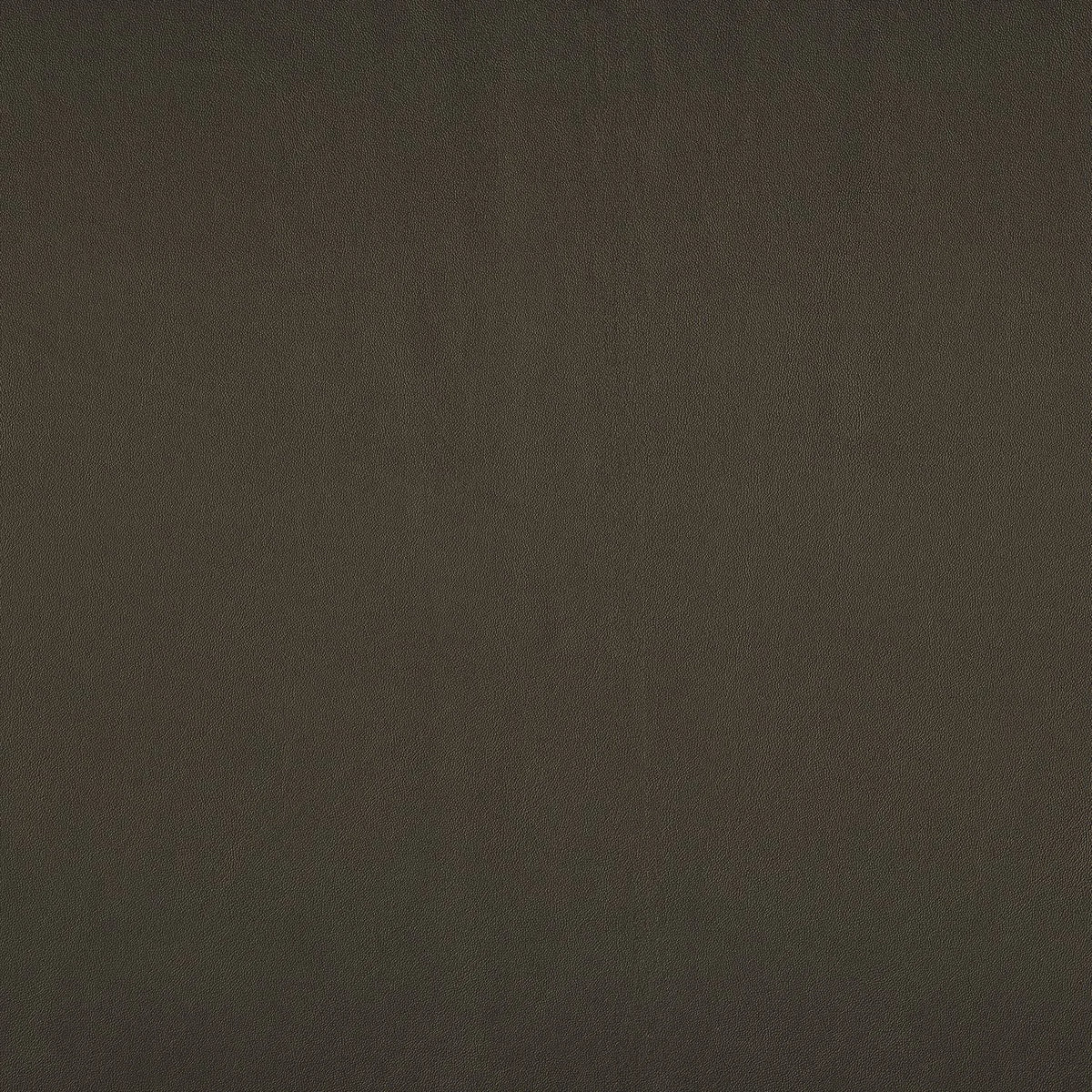 Casamance Naja – Brun Chocolat – 43260622