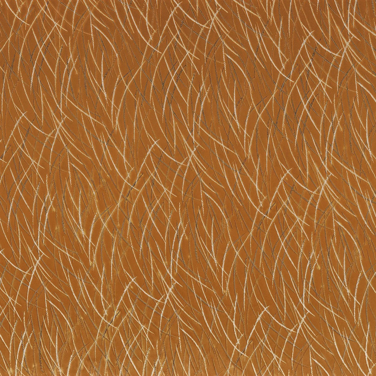 Casamance Euphorbe – Ambre – 46060881