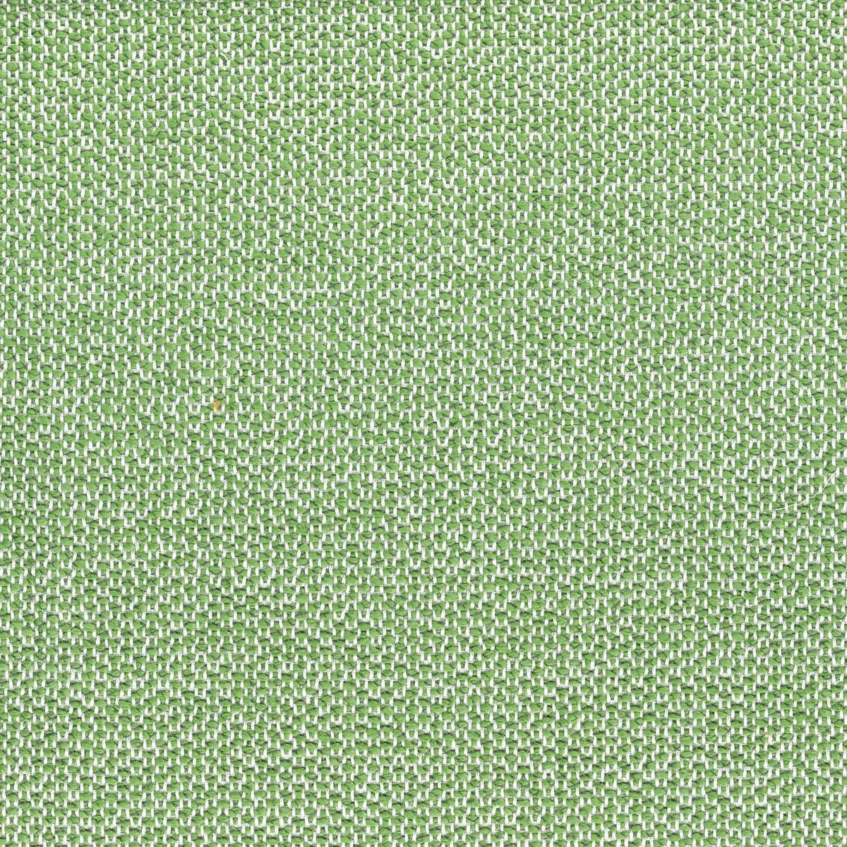 Casamance Zia – Vert Mousse – 47350452