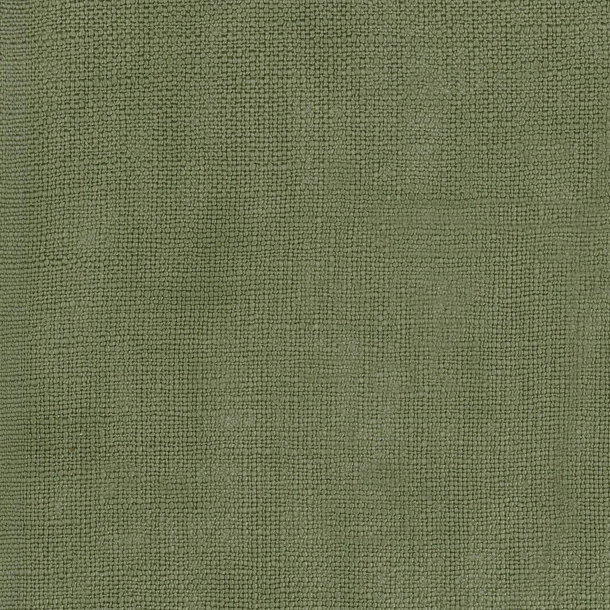 Casamance Livingstone – Olive – 47533207
