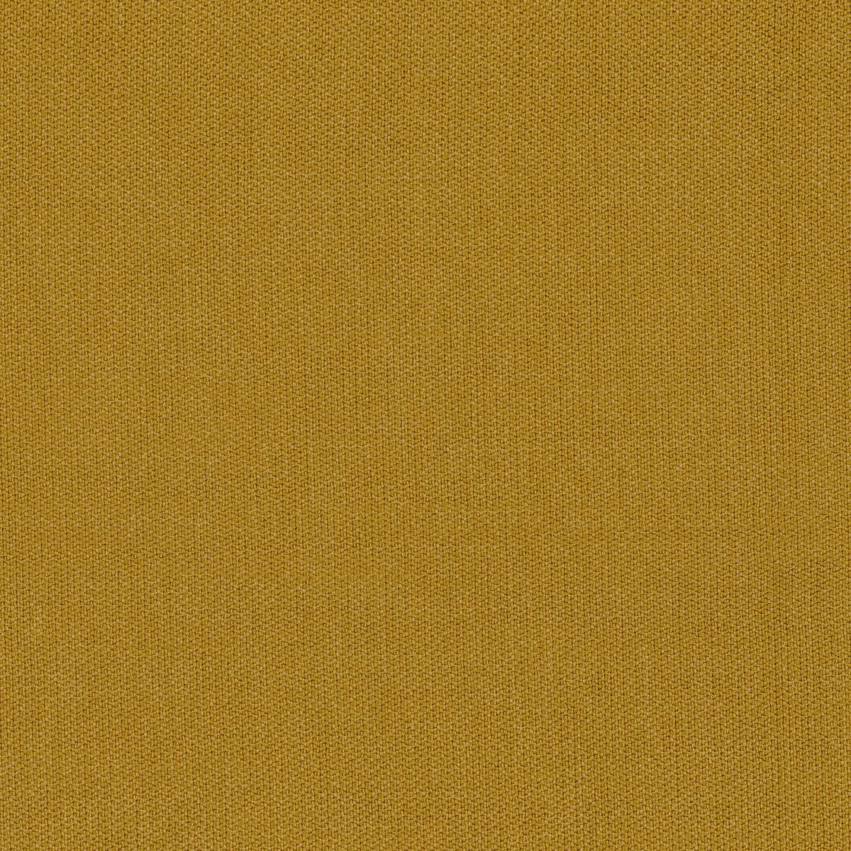 Casamance Knossos – Jaune – 50000625