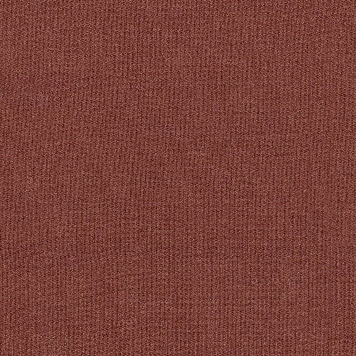 Casamance Knossos – Terre De Sienne – 50000910