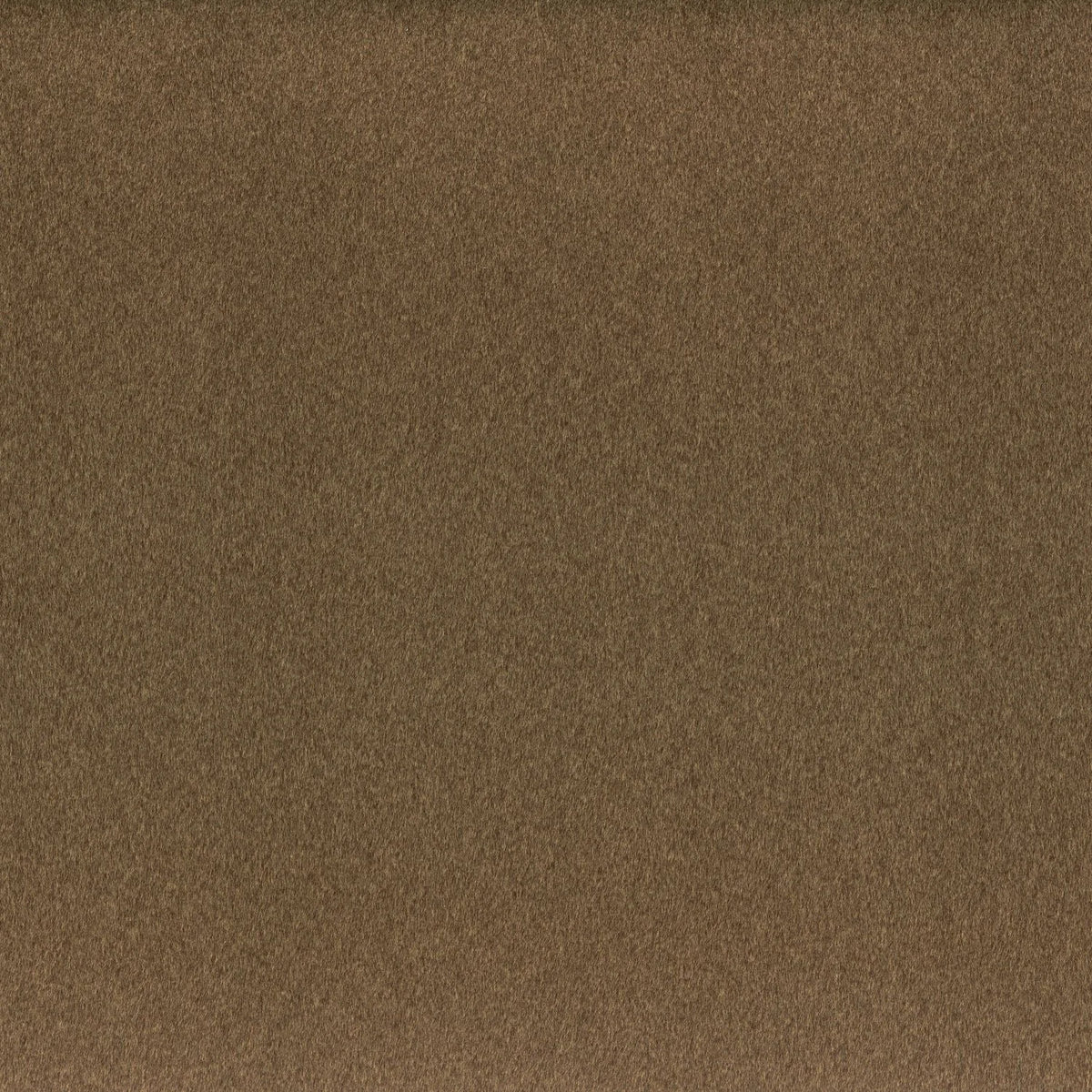Casamance Clyde – Caramel – 83630660