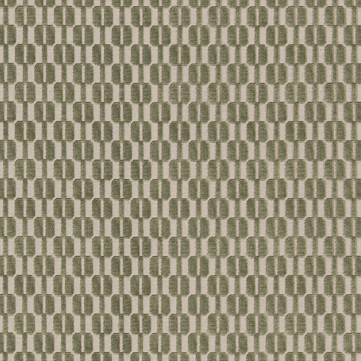 Casamance Inséparables – Olive – A31580548