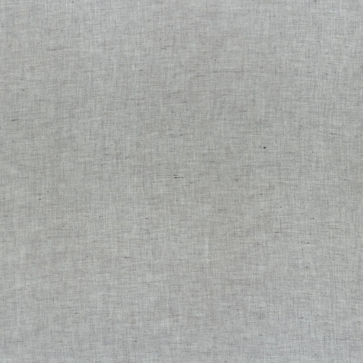 Casamance Kanso – Tourterelle – A39701066
