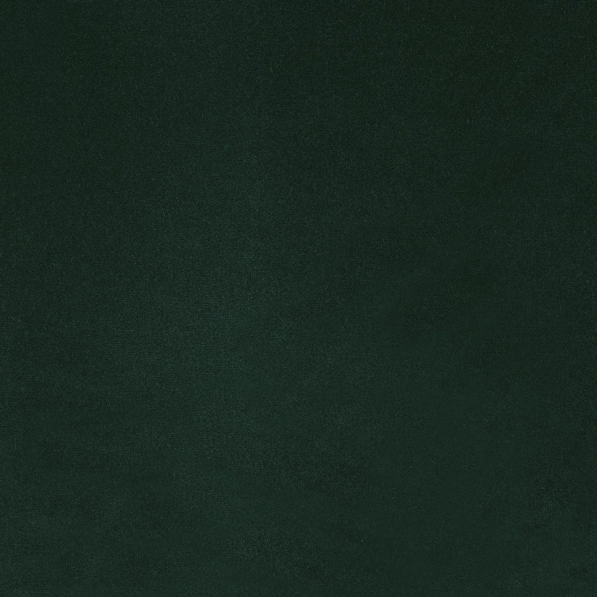 Casamance Dolce Vita – Vert Sapin – C45785959