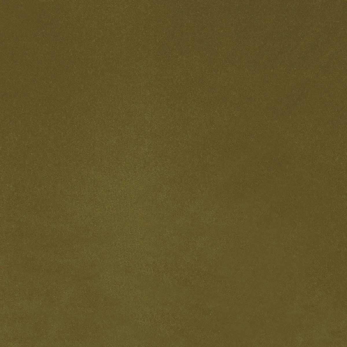Casamance Dolce Vita – Kaki Clair – C45786060
