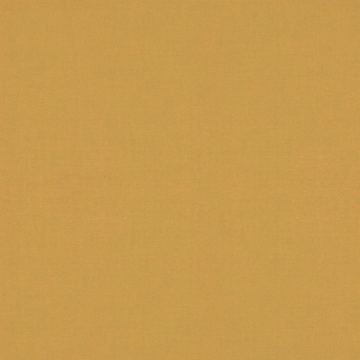 Casamance Arizona – Jaune Or – E2523931