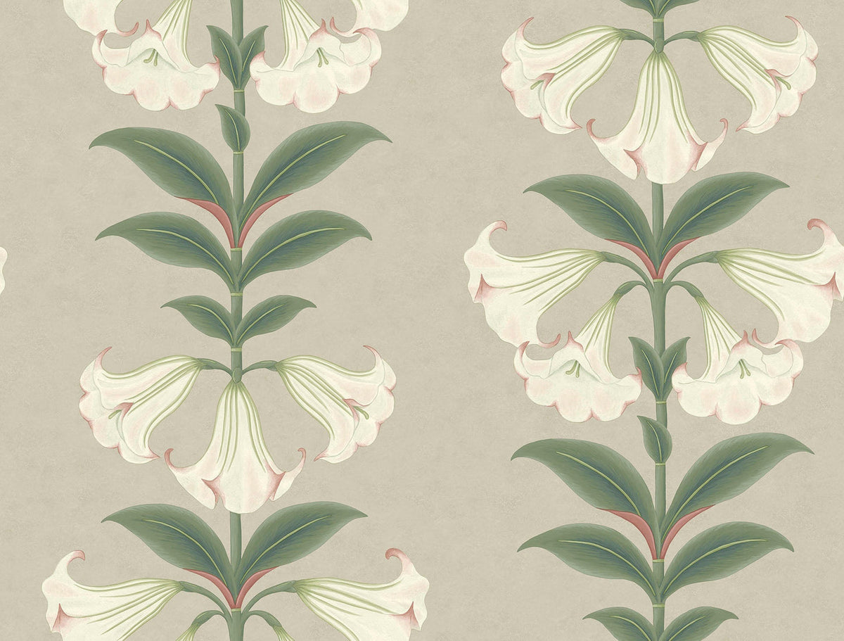 Cole & Son Angel’s Trumpet Tapete – Chalk & Sage on Stone (117/3007)