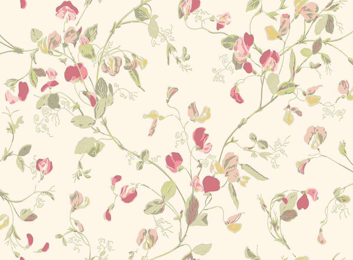 Cole & Son Sweet Pea Coral & Olive on Cream 100/6028 – Muster