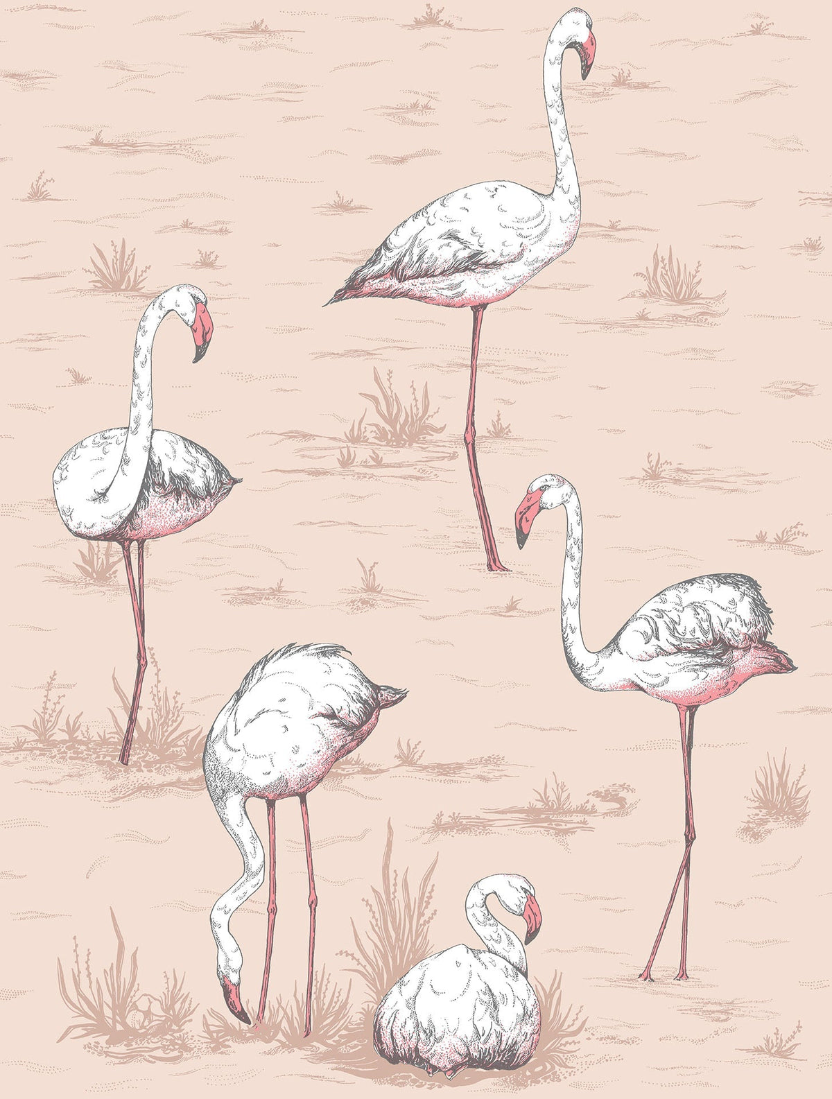 Cole & Son Flamingos Plaster Pink 112/11039 – Muster