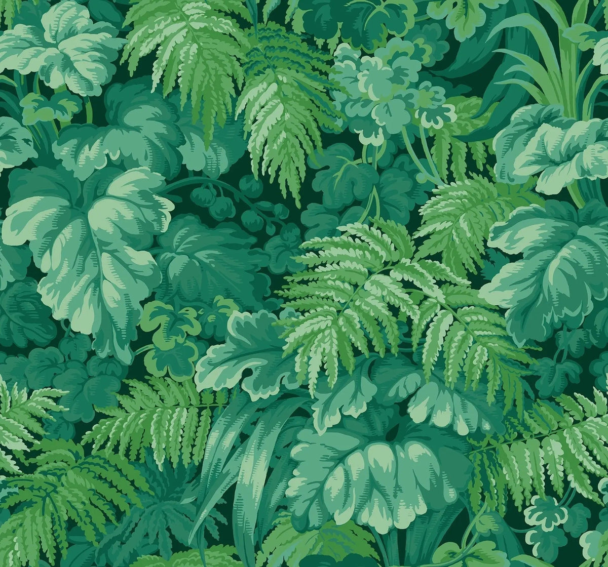 Cole & Son Royal Fernery Forest Green 113/3009 – Muster