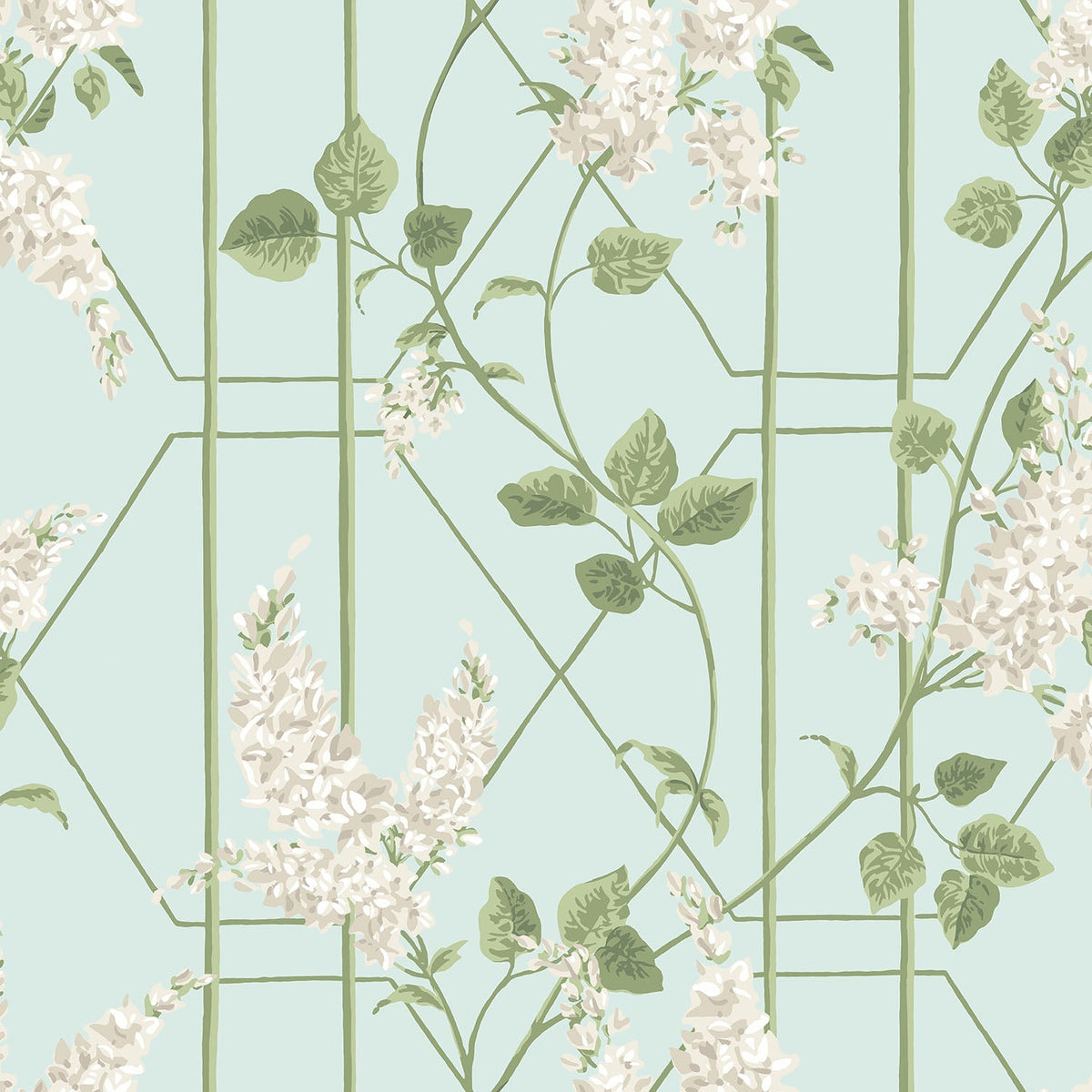 Cole & Son Wisteria Stone & Olive on Duck Egg 115/5014 – Muster