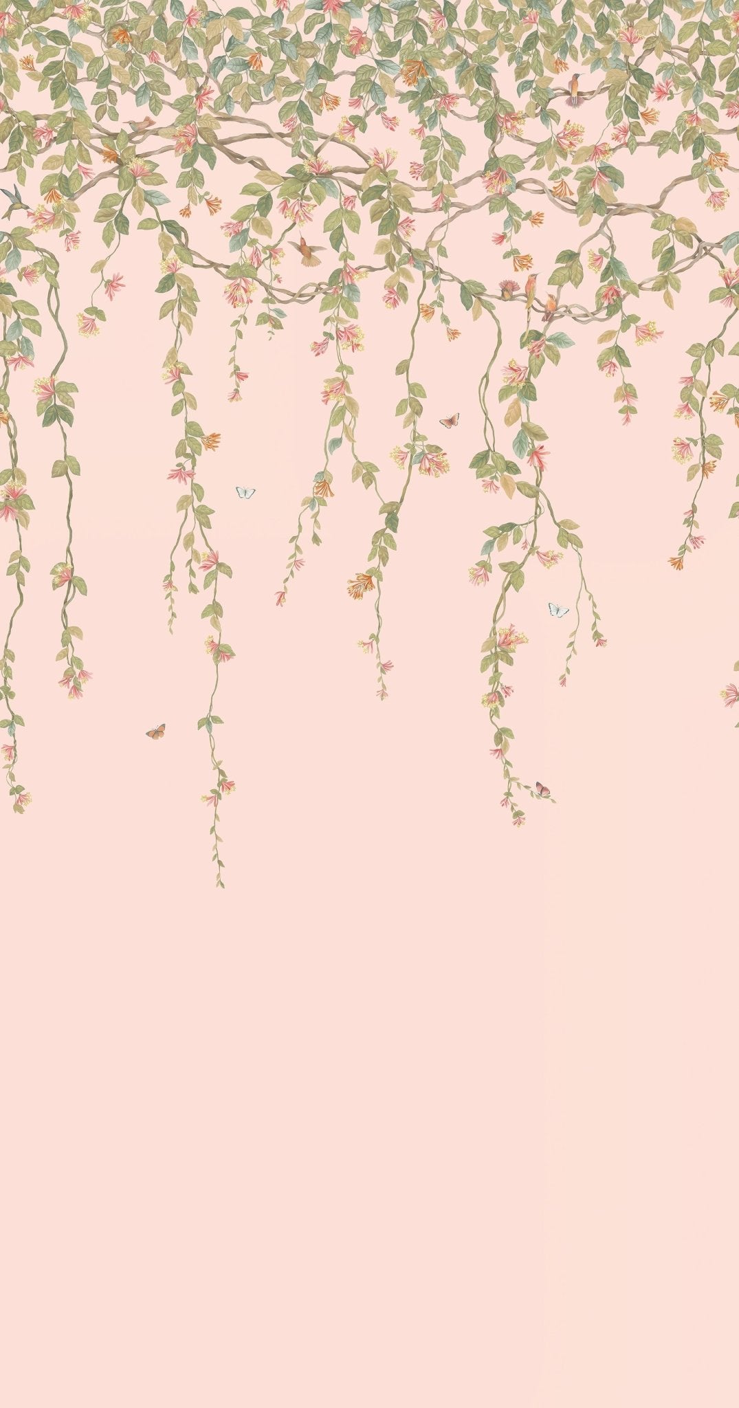 Cole & Son Hummingbirds Flora – Tangerine & Olive on Blush (124/2009), Musteransicht