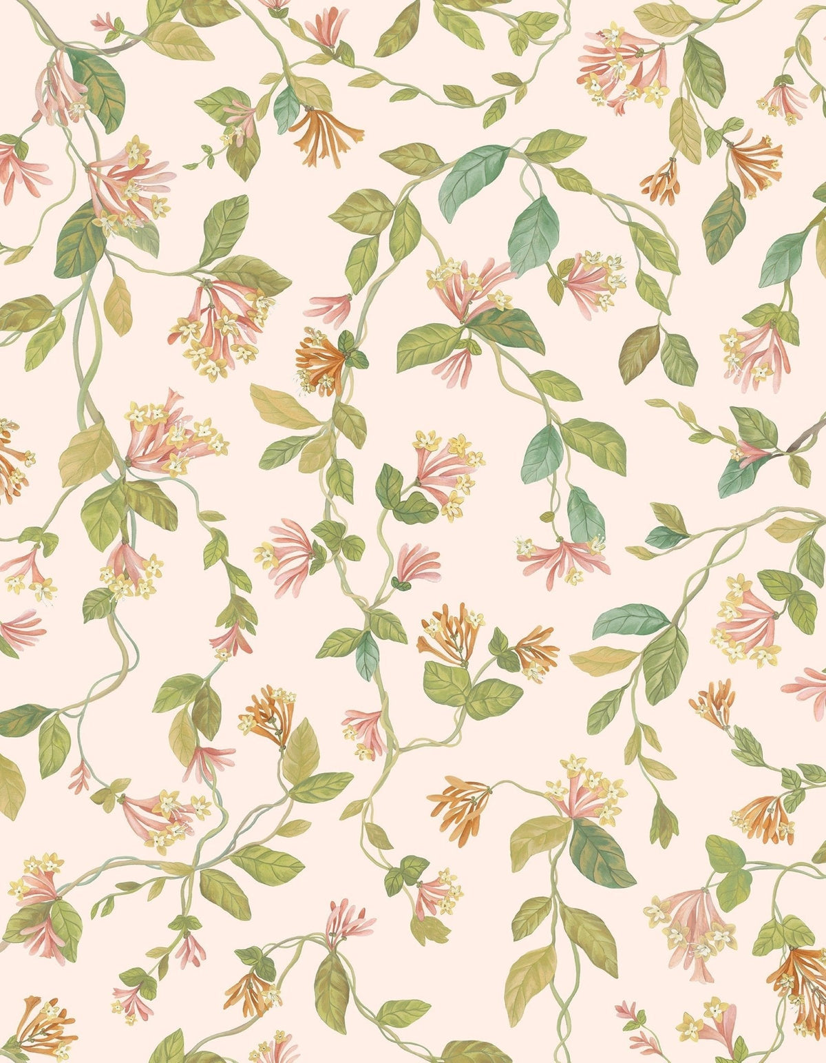 Cole & Son Flora – Tangerine & Olive on Blush (124/3016), Musteransicht