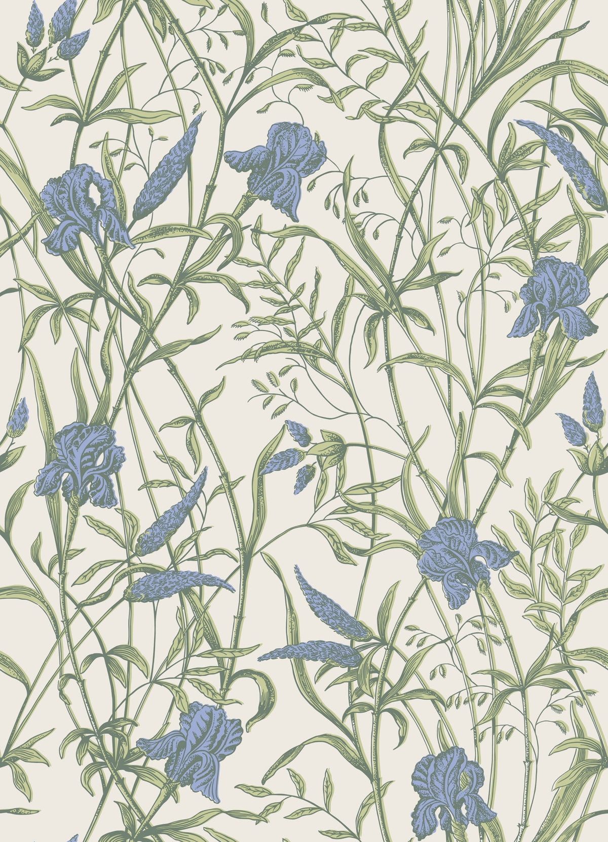 Cole & Son Iris Iris Blue on Stone 128/5023 – Muster