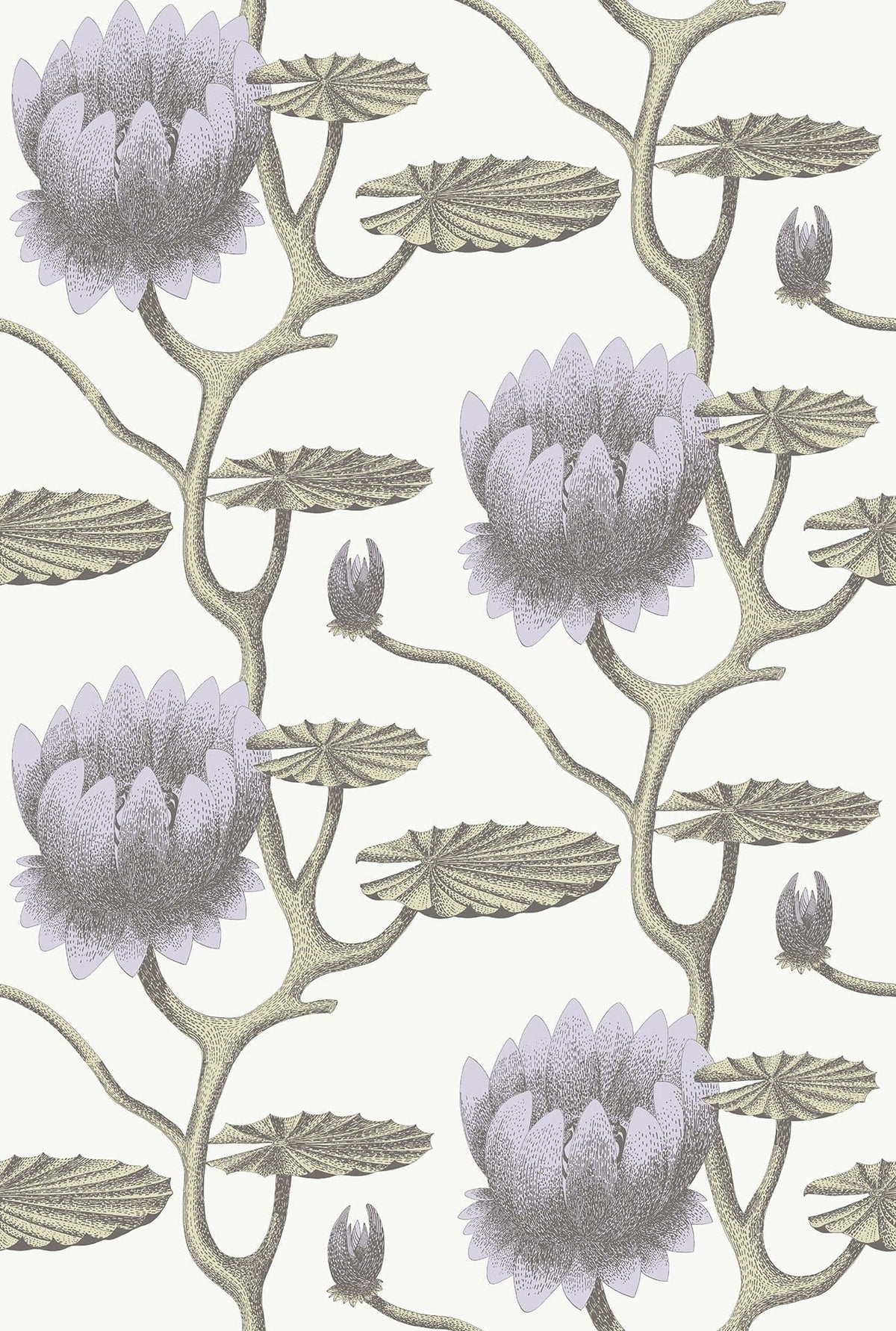 Cole & Son Summer Lily Soft Purple on White 95/4023 – Muster