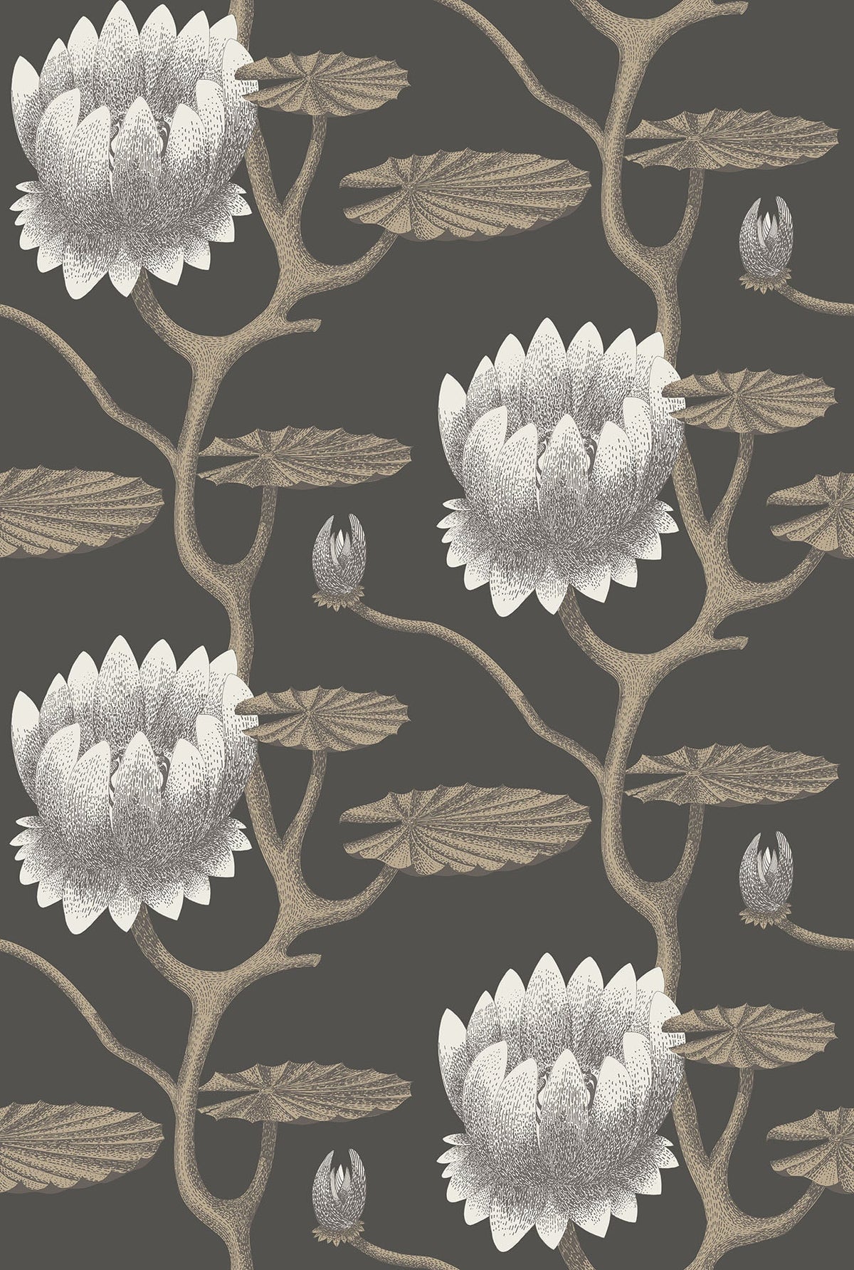Cole & Son Summer Lily White & Metallic Gilver on Charcoal 95/4026 – Muster