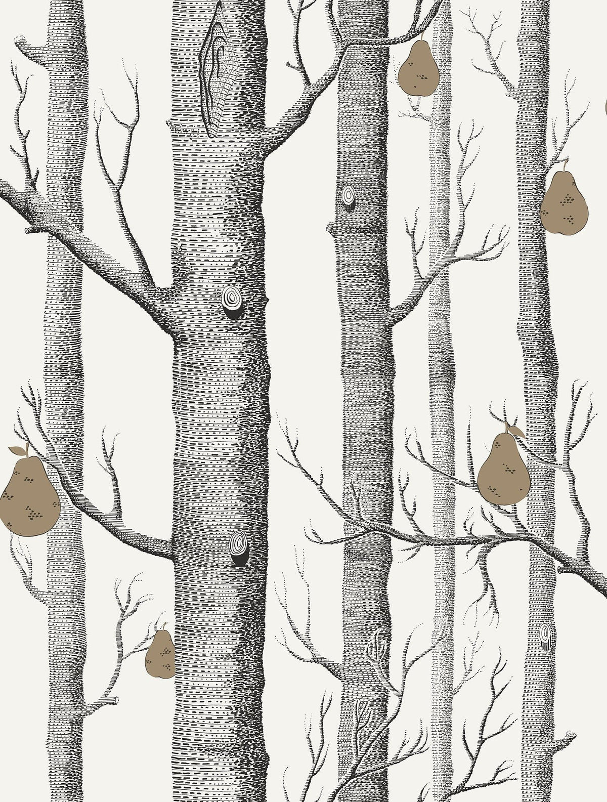 Cole & Son Woods & Pears Charcoal & Metallic Bronze on Parchment 95/5027 – Muster